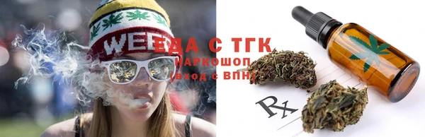 прущие грибы Алзамай