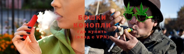 прущие грибы Алзамай