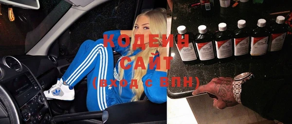 прущие грибы Алзамай